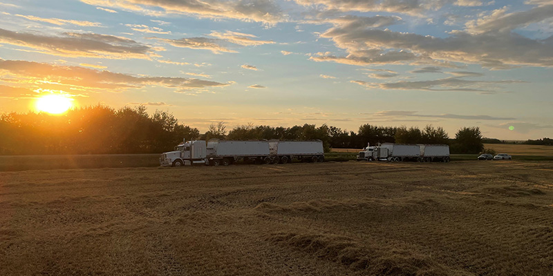 camions circulant près d'un champ agricole.
