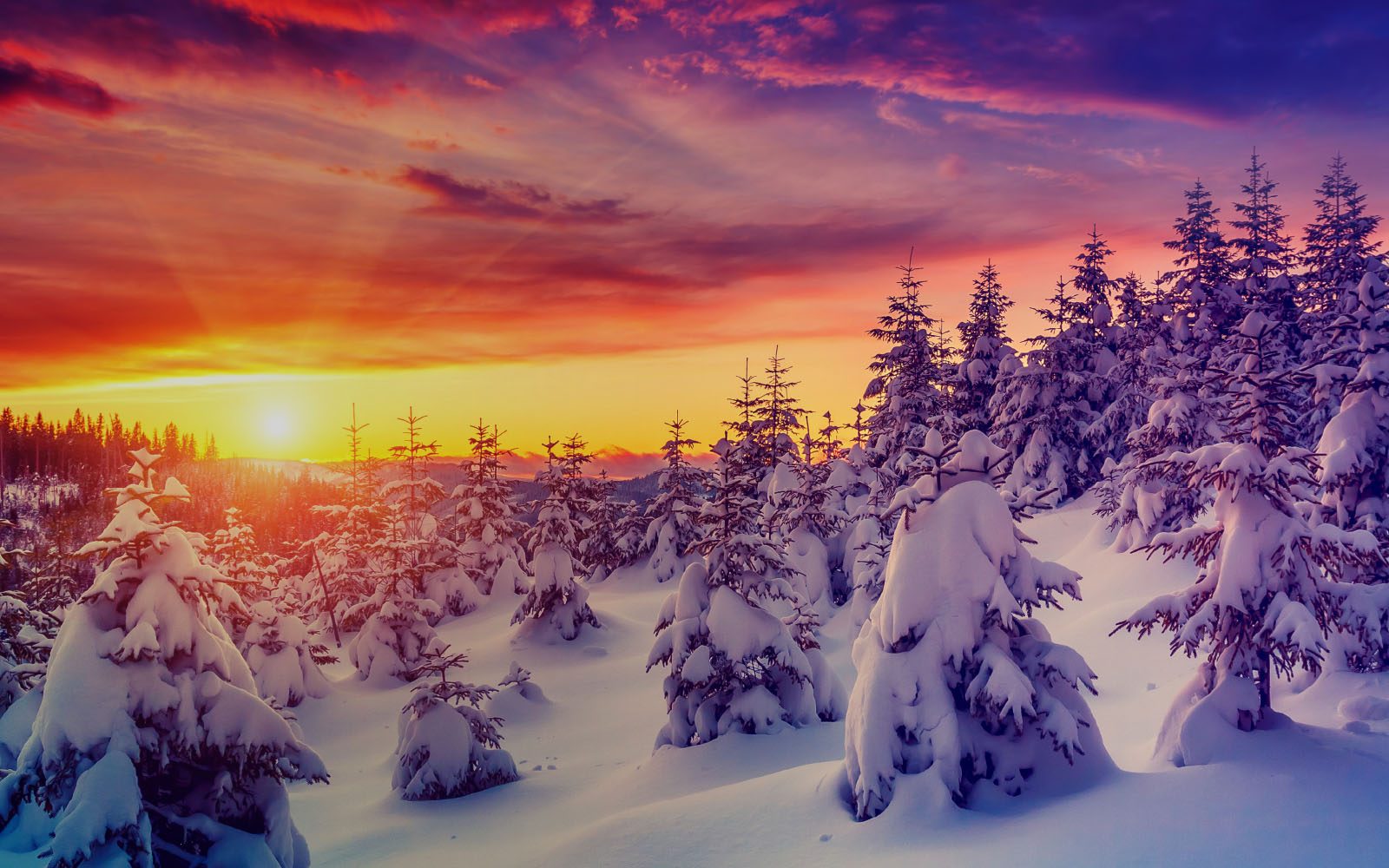 sun shining over a hillside with snow covered trees