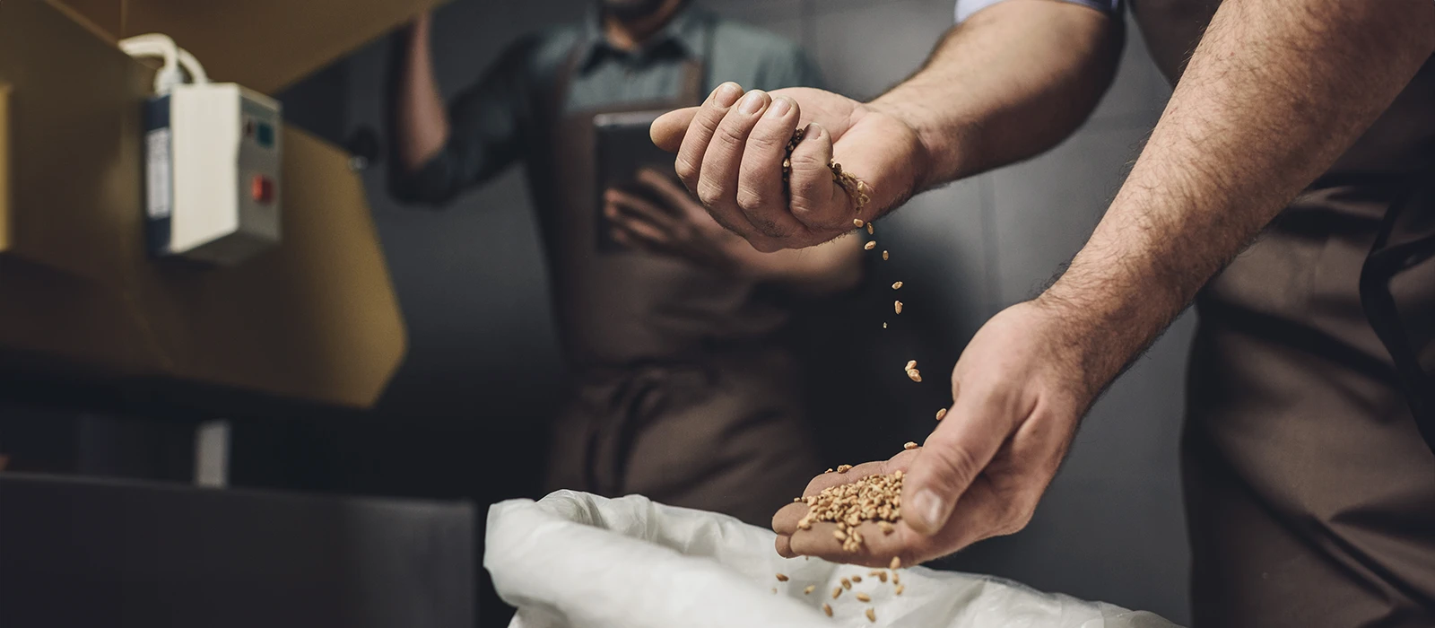 A man filling a bag with grains.