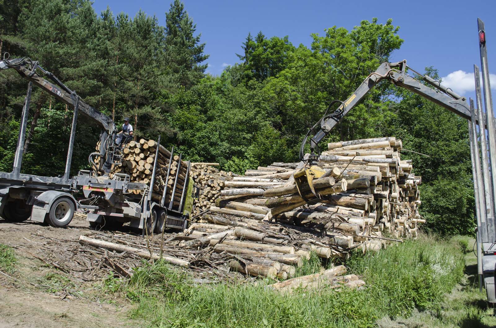 A truck loading logs onto another truck.