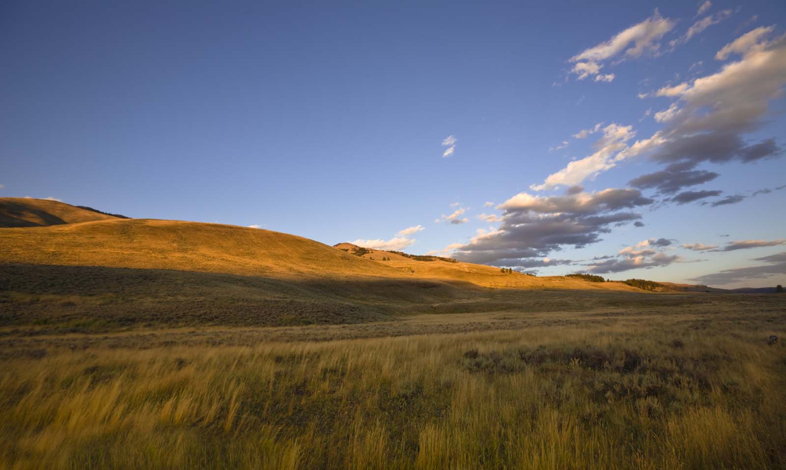 field with hills and blue sky in the background