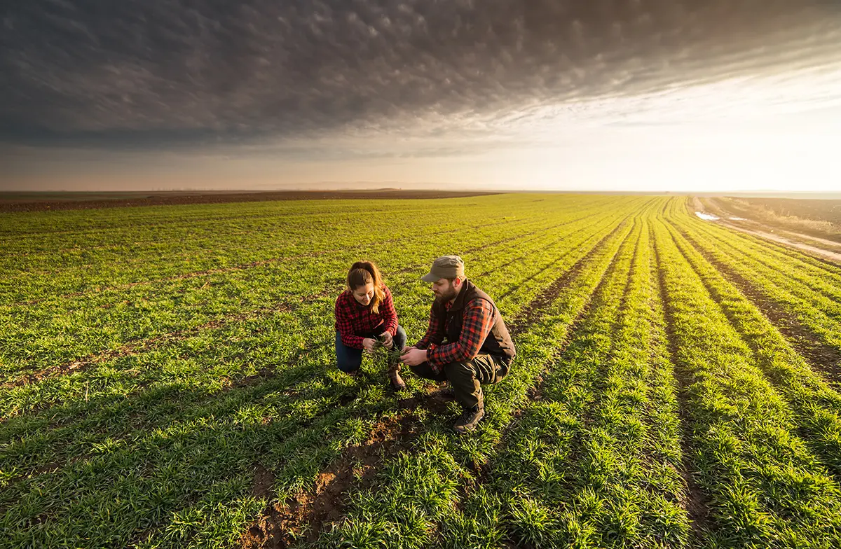 two people kneeling in a field