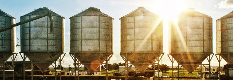 granaries in a farm yard