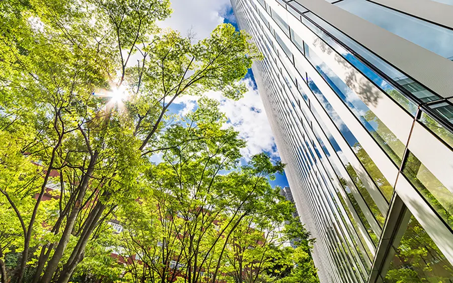 skyscraper and trees at the bottom of the building