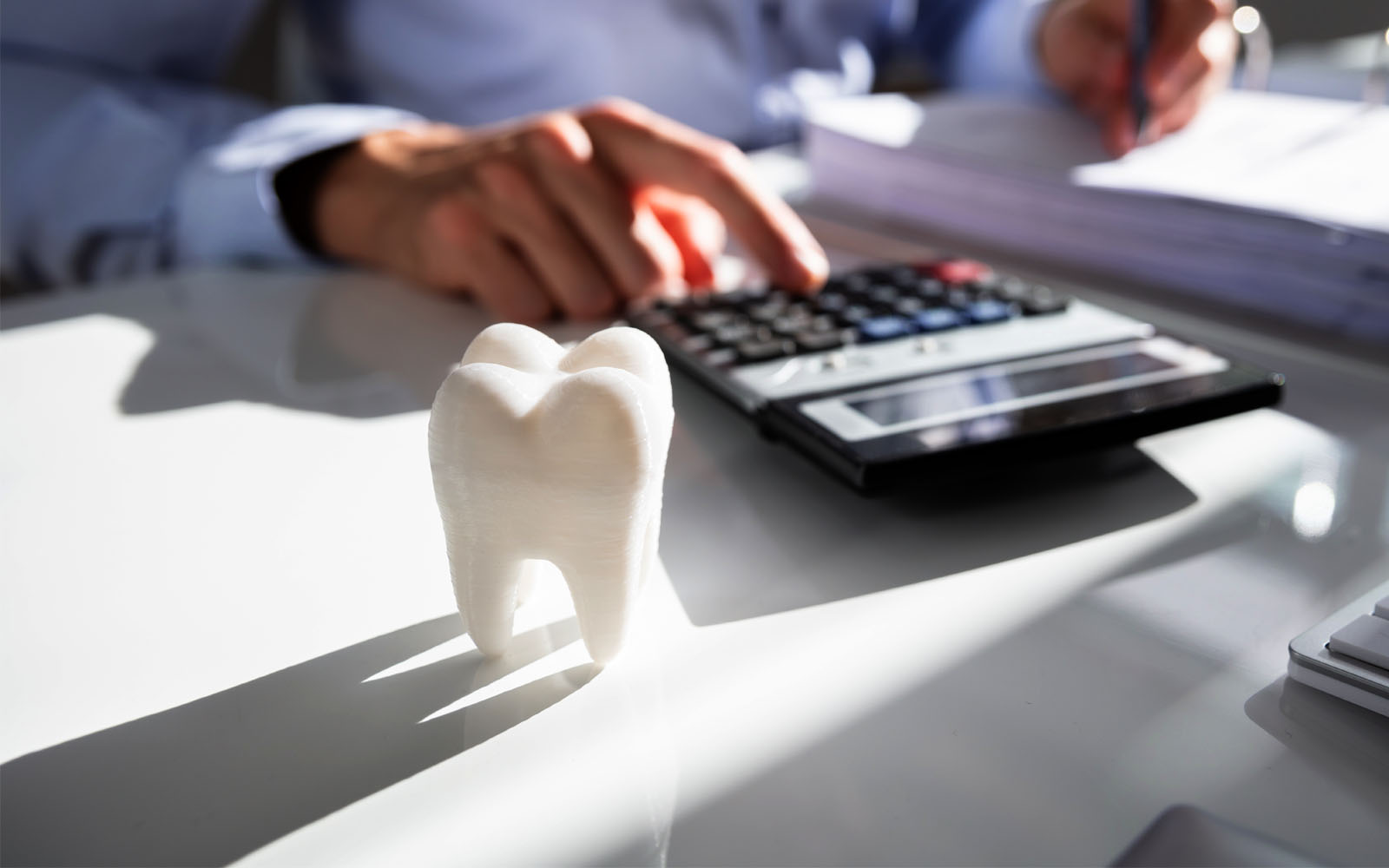 person working on a calculator with a model tooth on the desk