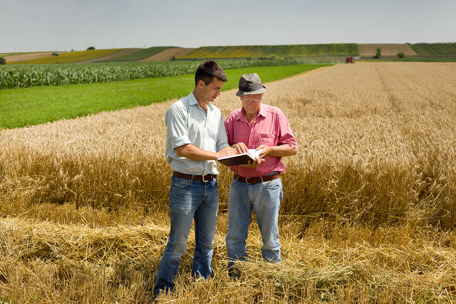 two people standing in a wheat field