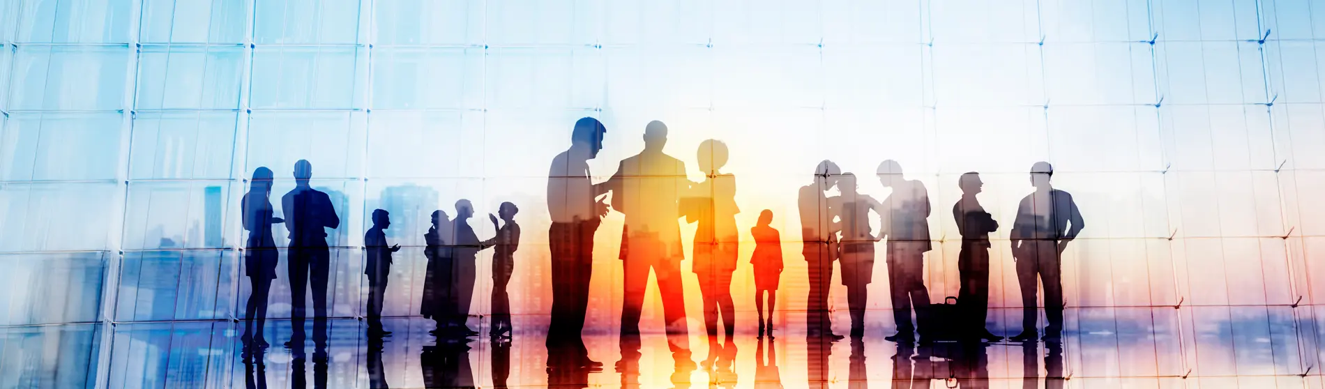 silhouettes of business professionals