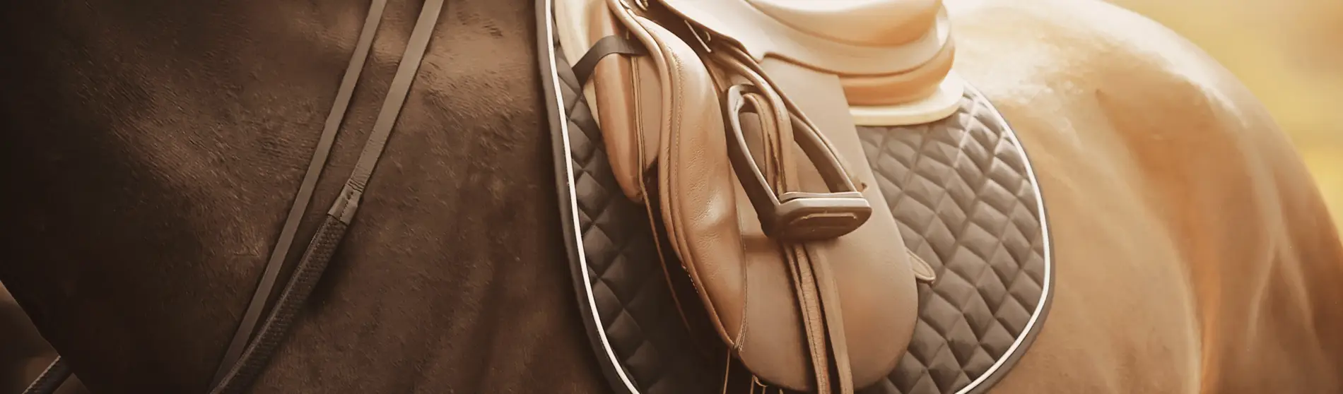 horse with a saddle