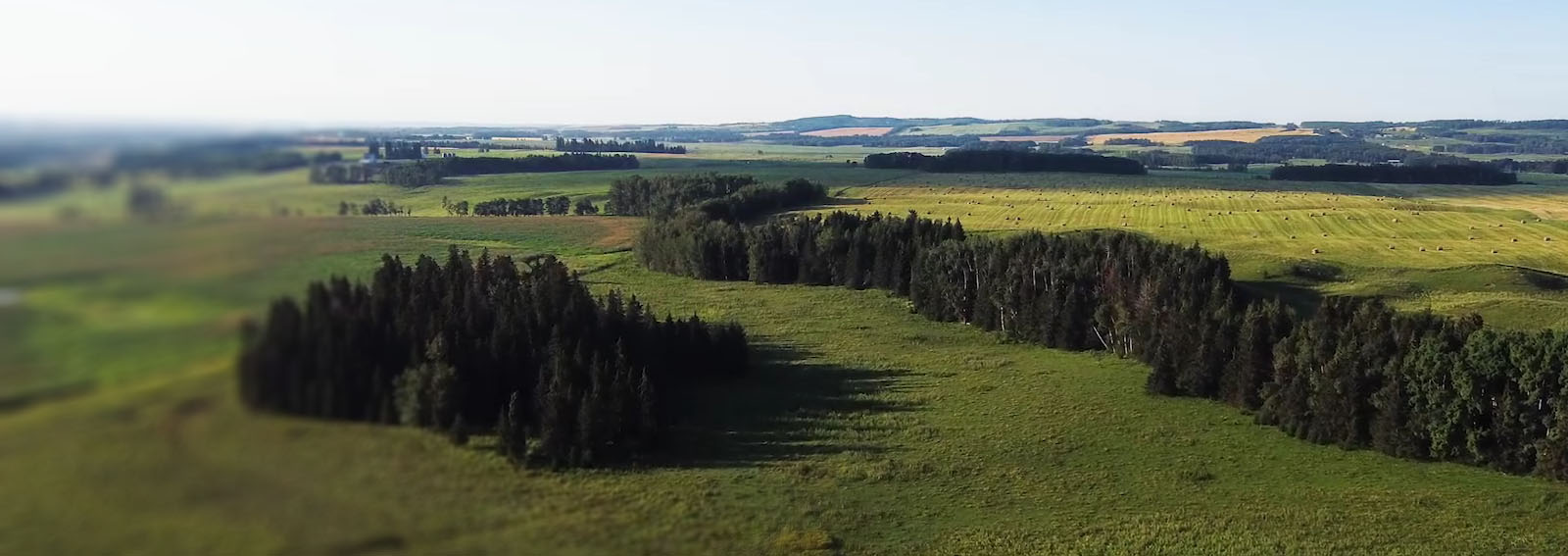 Aerial view of a farm across the prairies.