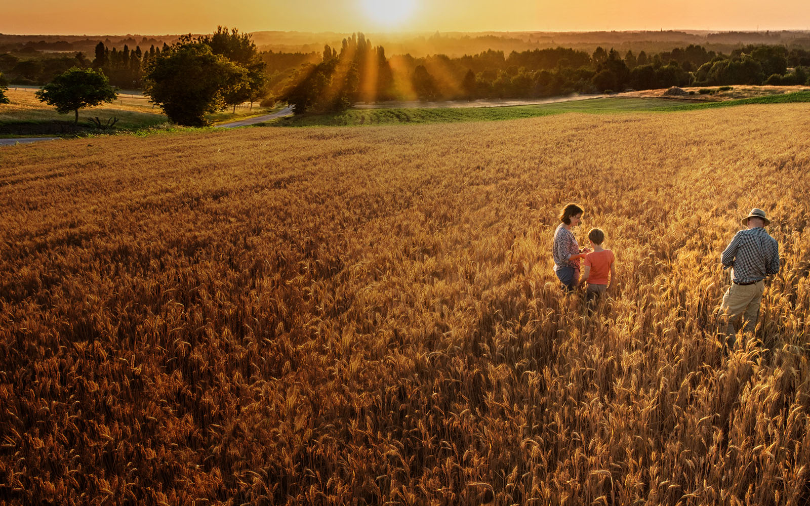 Family standing in a wheat field in the prairies