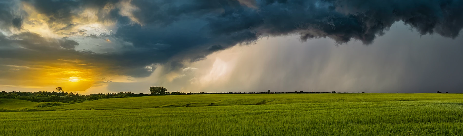 Vast farmland with a storm moving in in the distance.