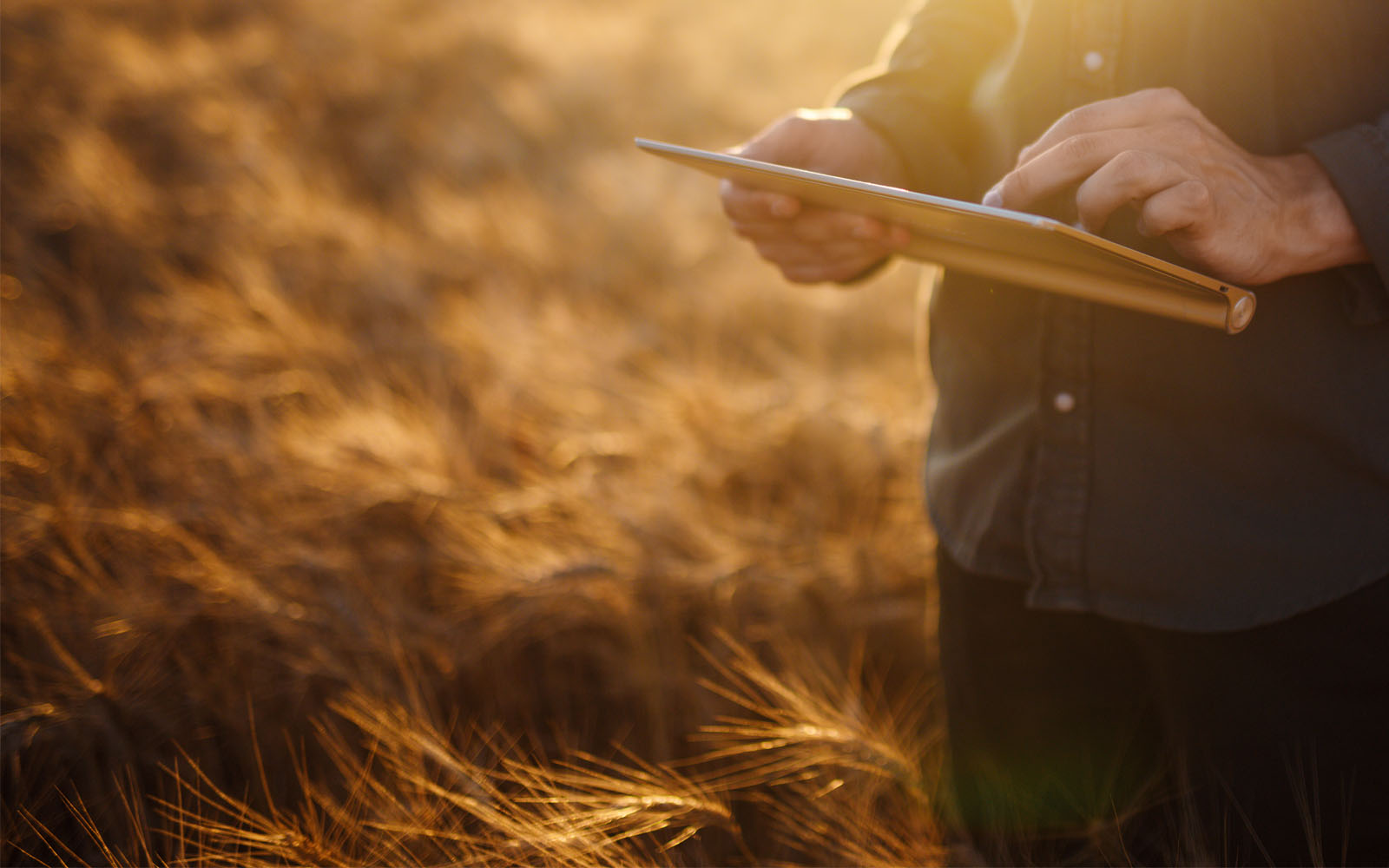 person looking at papers in a field