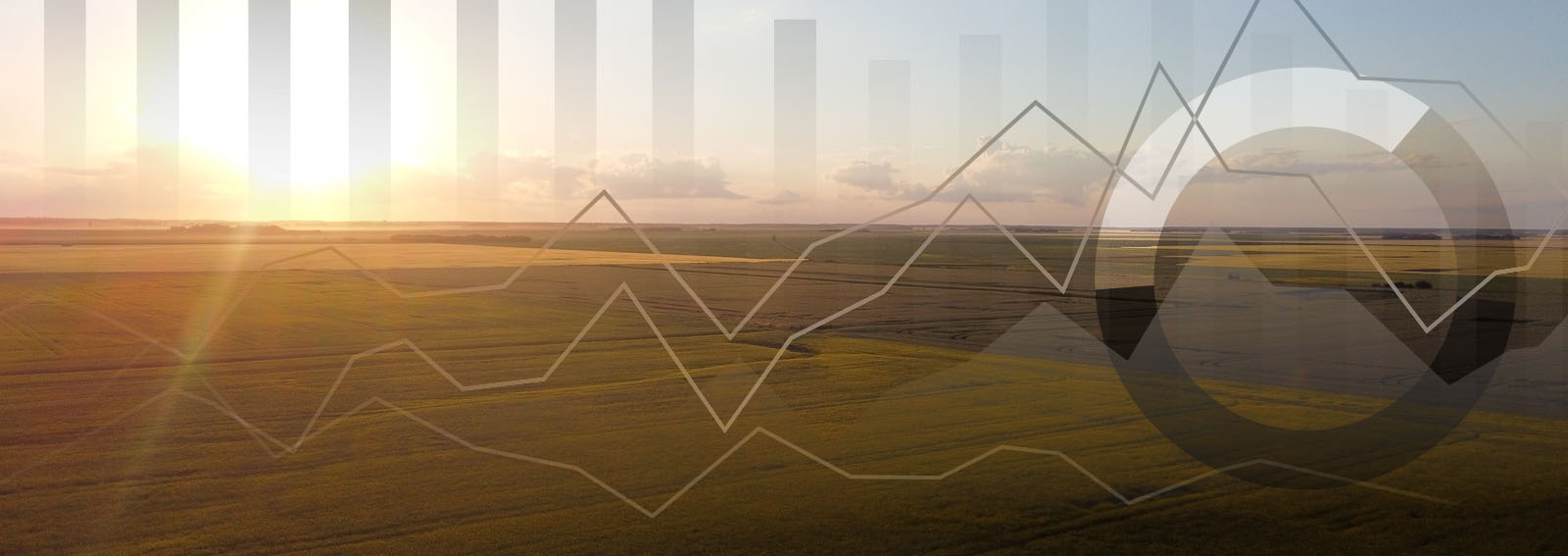 Financial graphs overlaid on top of a farmers field