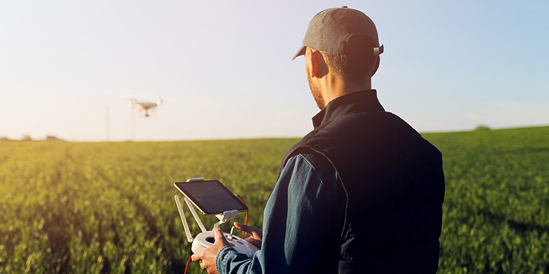 Person holding farm equipment while looking at a farmfield.