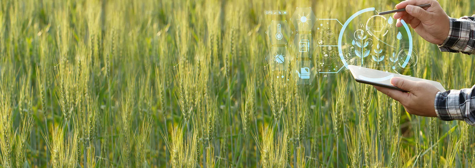 Farmer in a field with a holographic data visualization