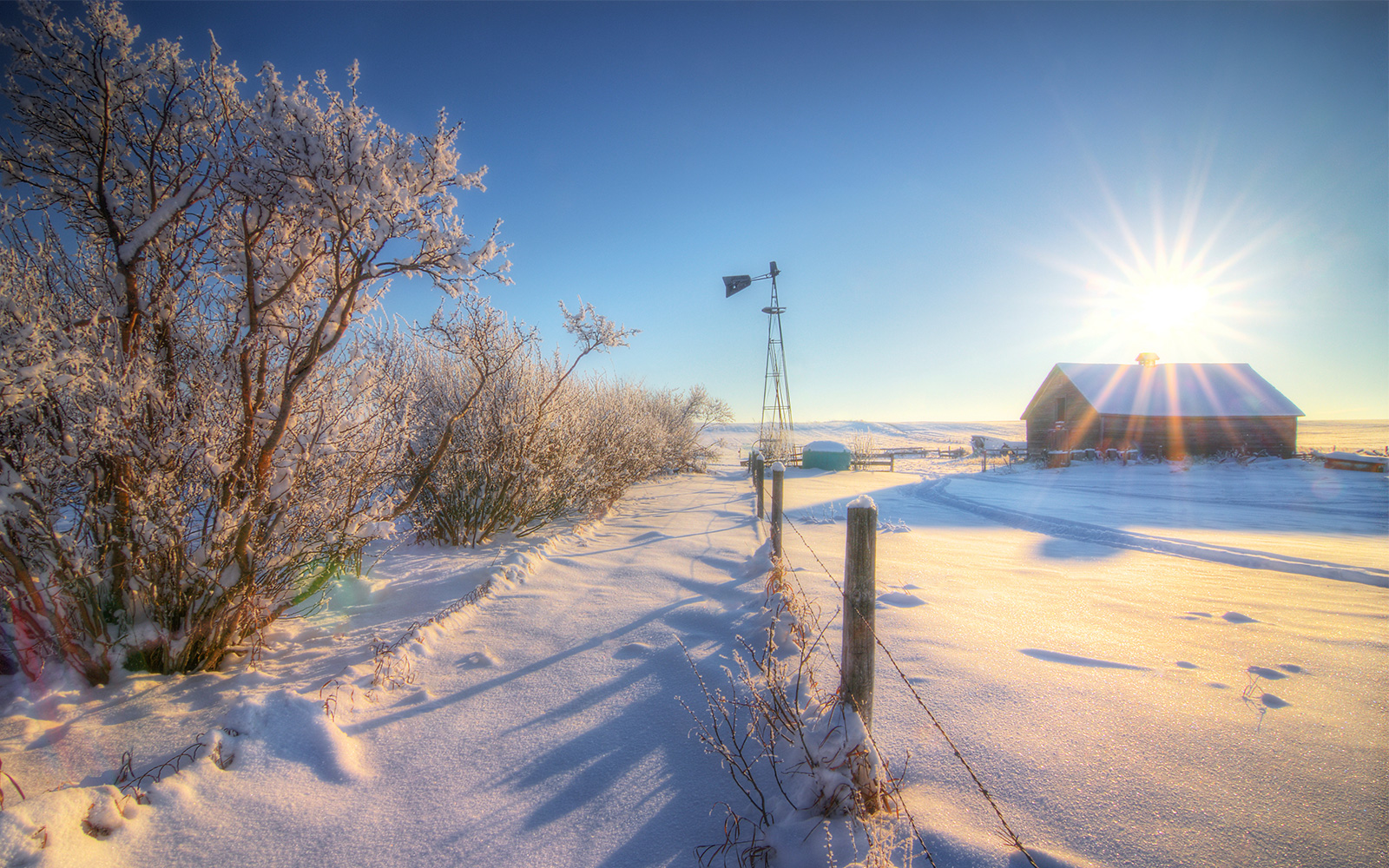 Canadian Farm in the Winter