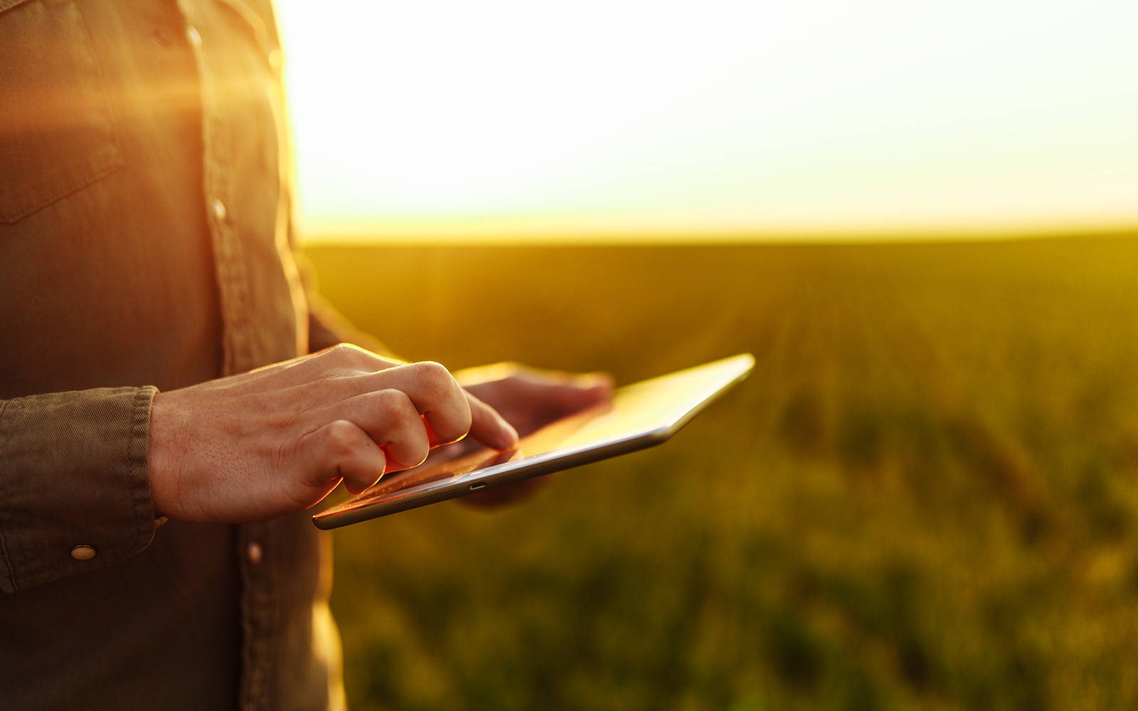 Closeup of farmers hands holding a tablet