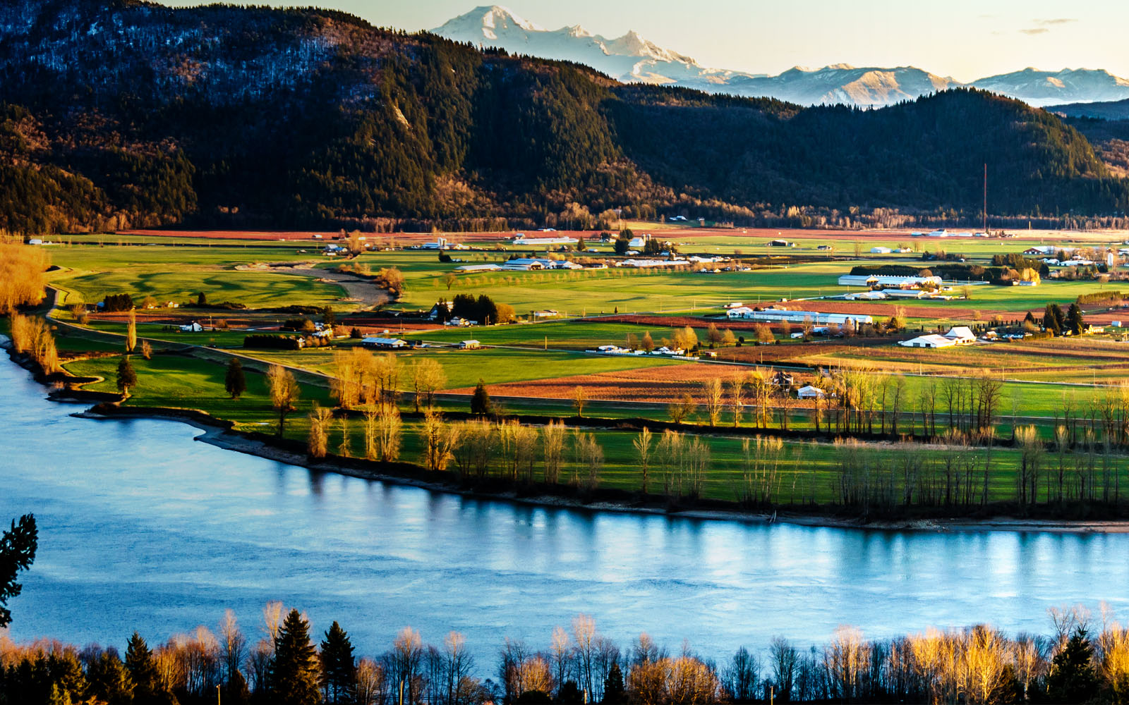 Farmland in the Fraser Valley in British Columbia