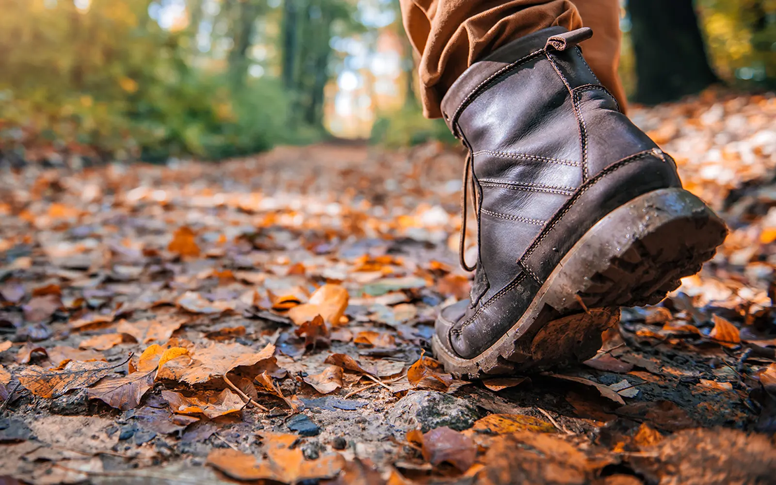 Person walking through the woods