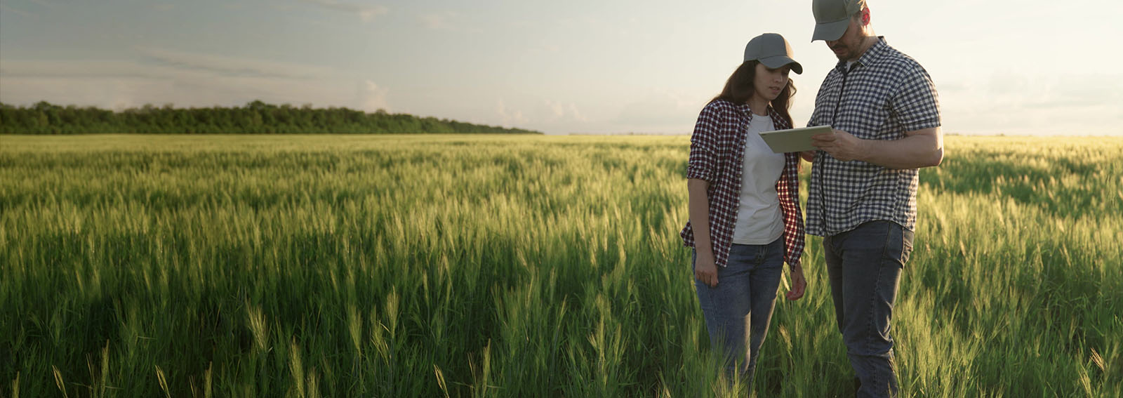 Farming couple reviewing financial documents on a tablet.