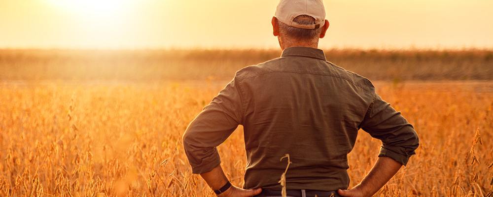 Senior farmer looking out on their farm.