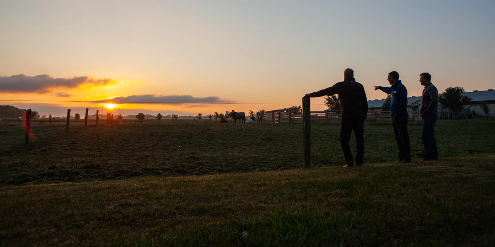 deux agriculteurs regardant un champ
