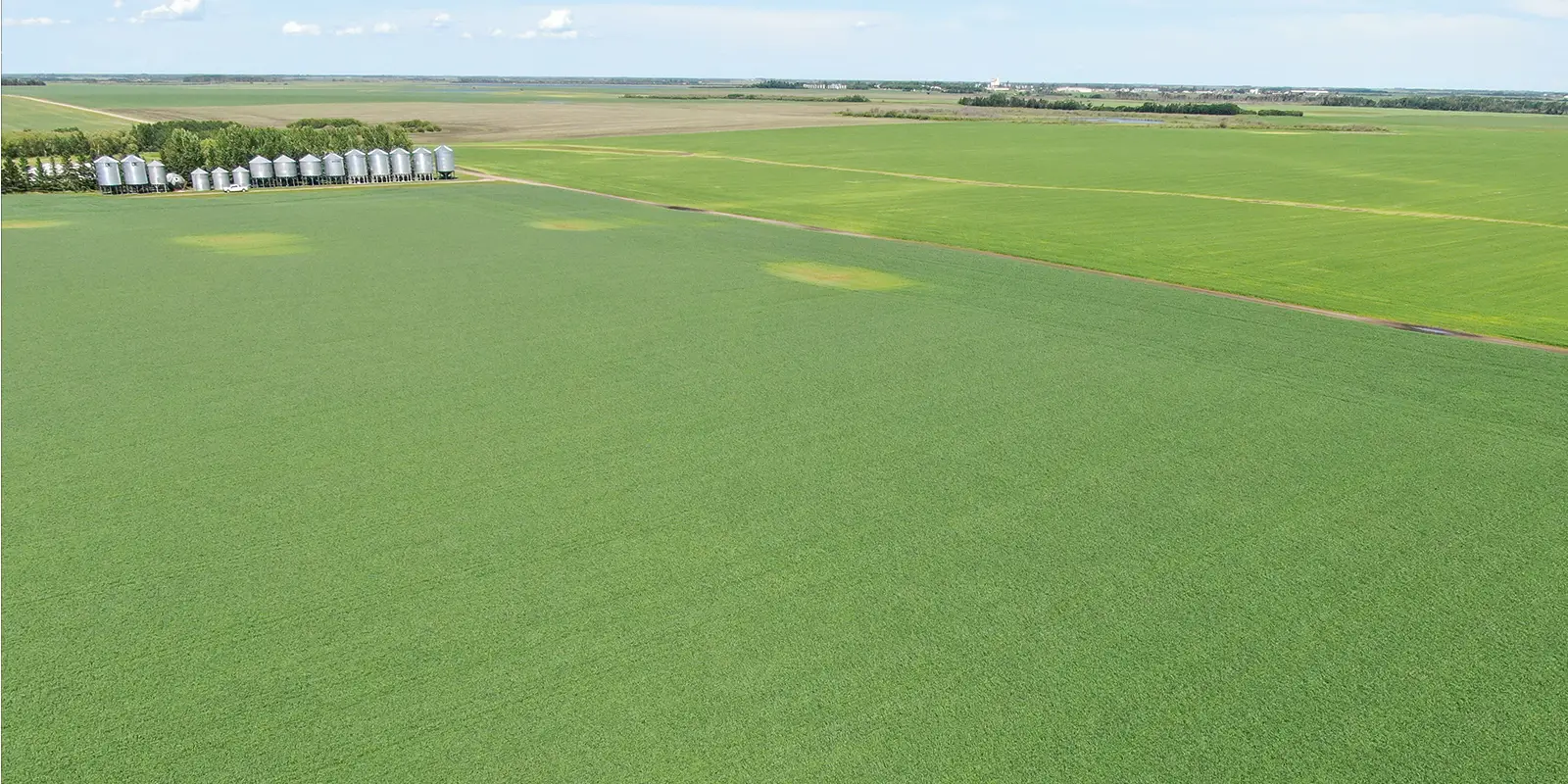 Arial veiw of a farmers field