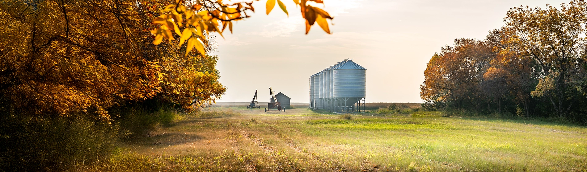 Central alberta farm in autumn