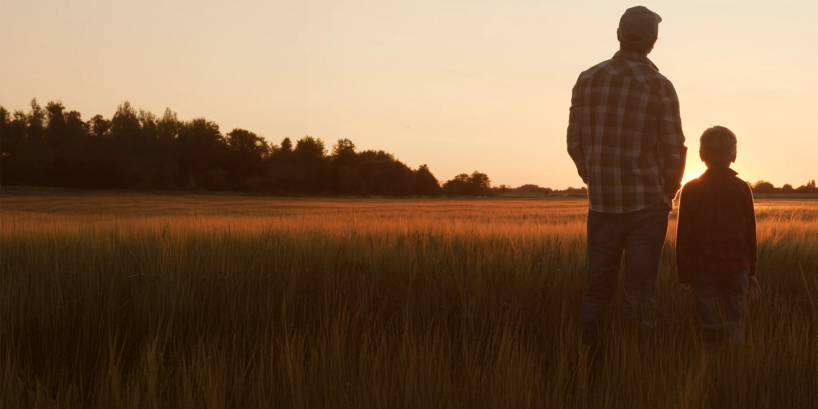 Father and son standing in a wheat field