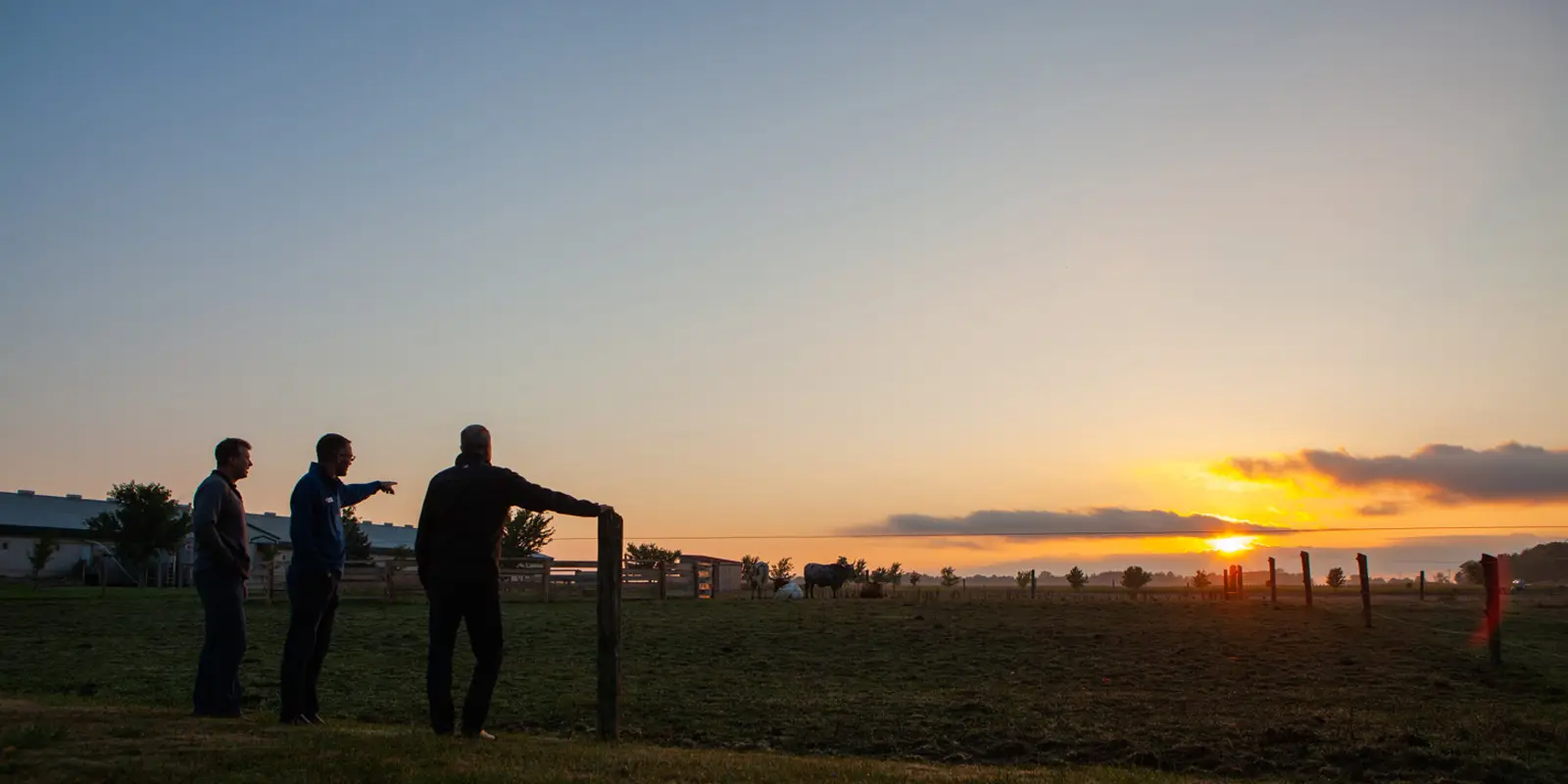 Looking out over the farmland