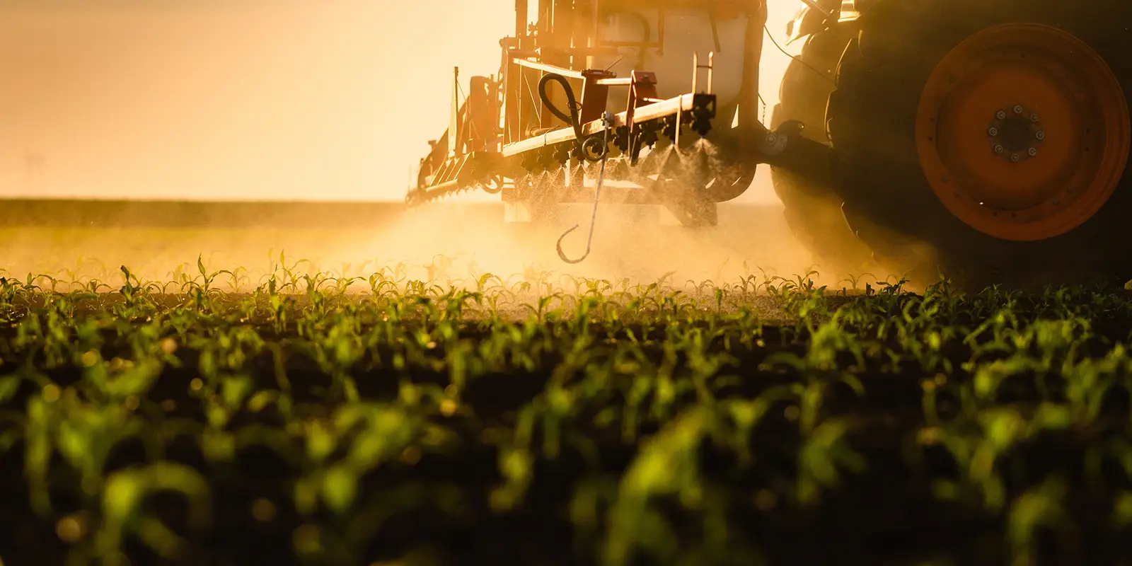 Tractor spraying pesticides on corn field with sprayer at spring