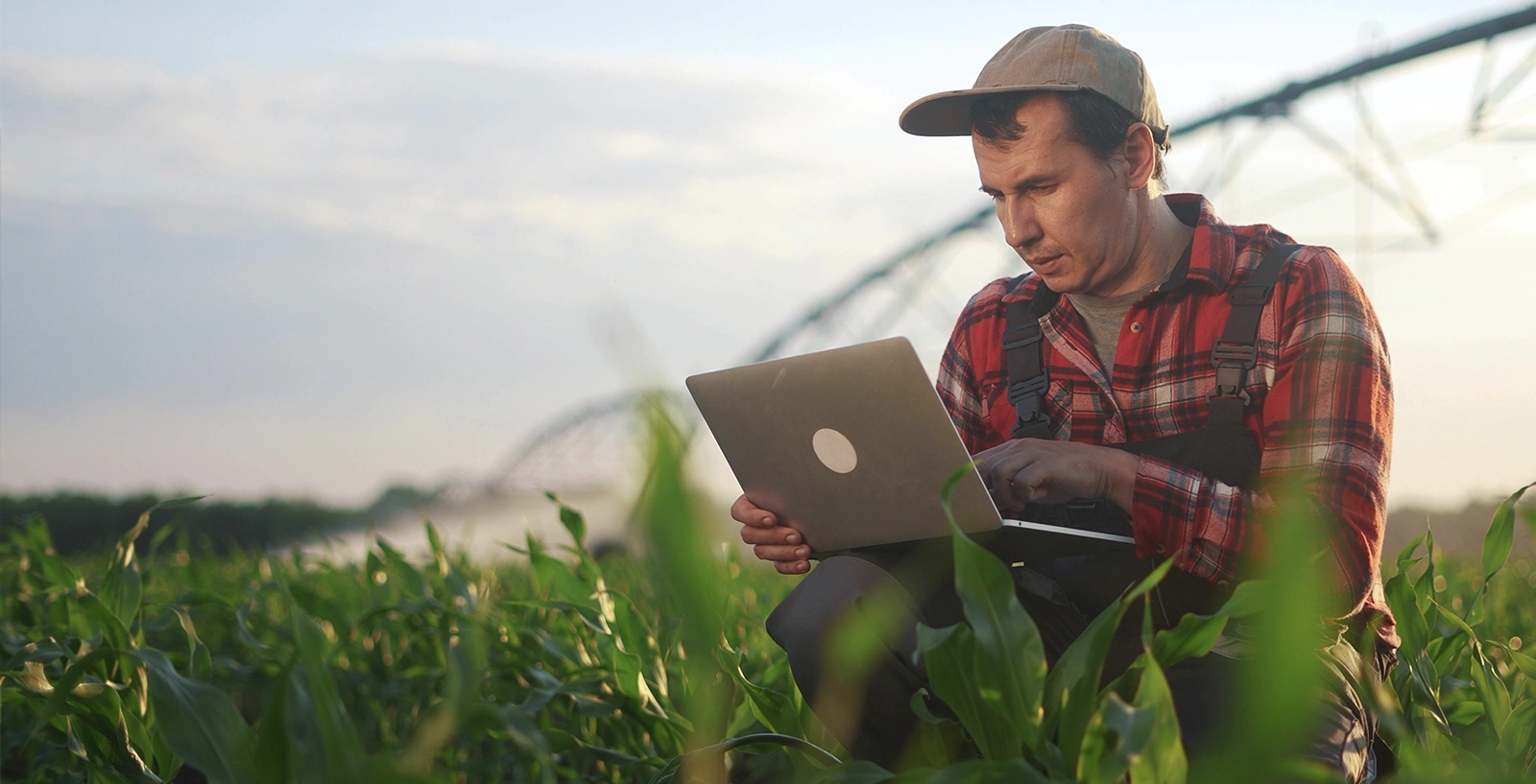 Farmer with tablet in corn field with irrigation system in background