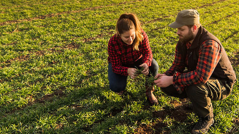 Un homme et une femme sur un genou dans l'herbe