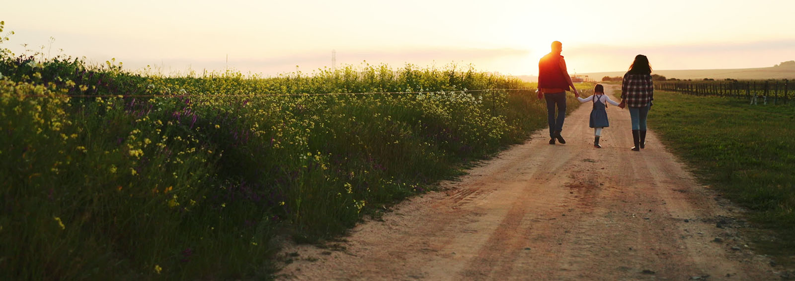 family walking in a field