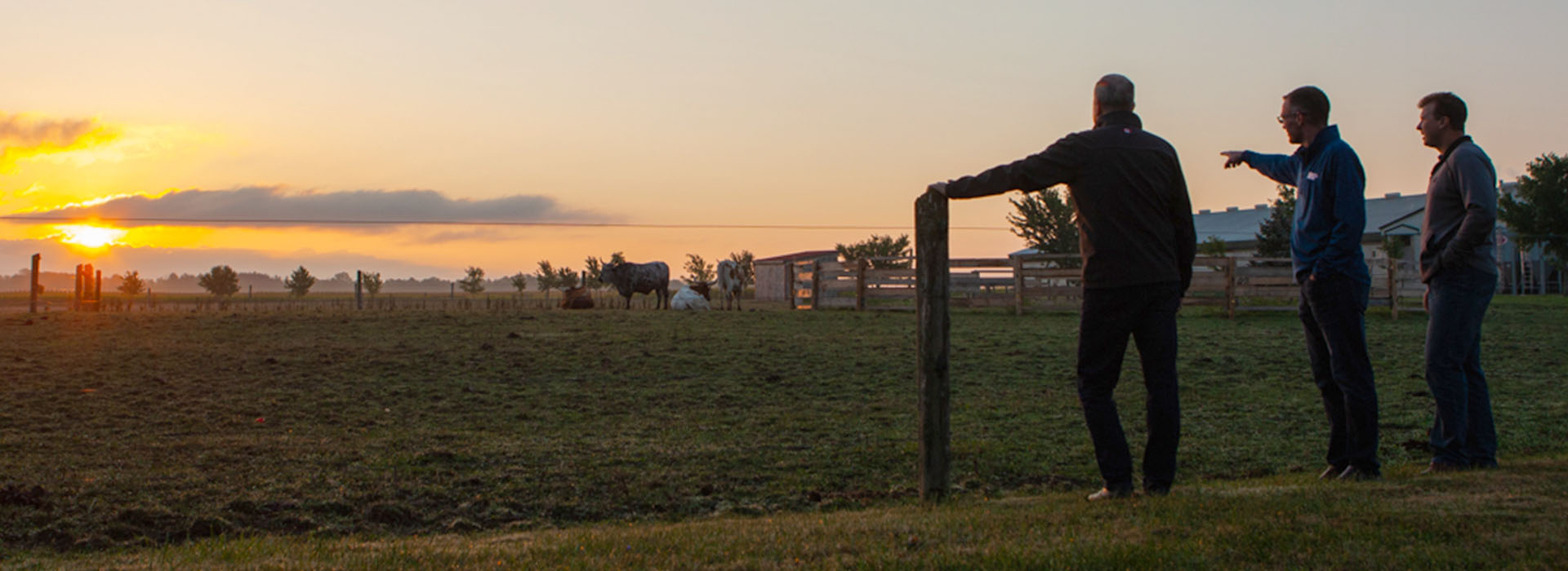 Farming family talking to an MNP consultant in an open pasture at sunset. One person is leaning against a wooden fence.