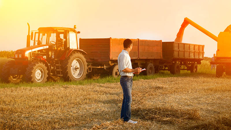 Homme regardant le tracteur derrière lui