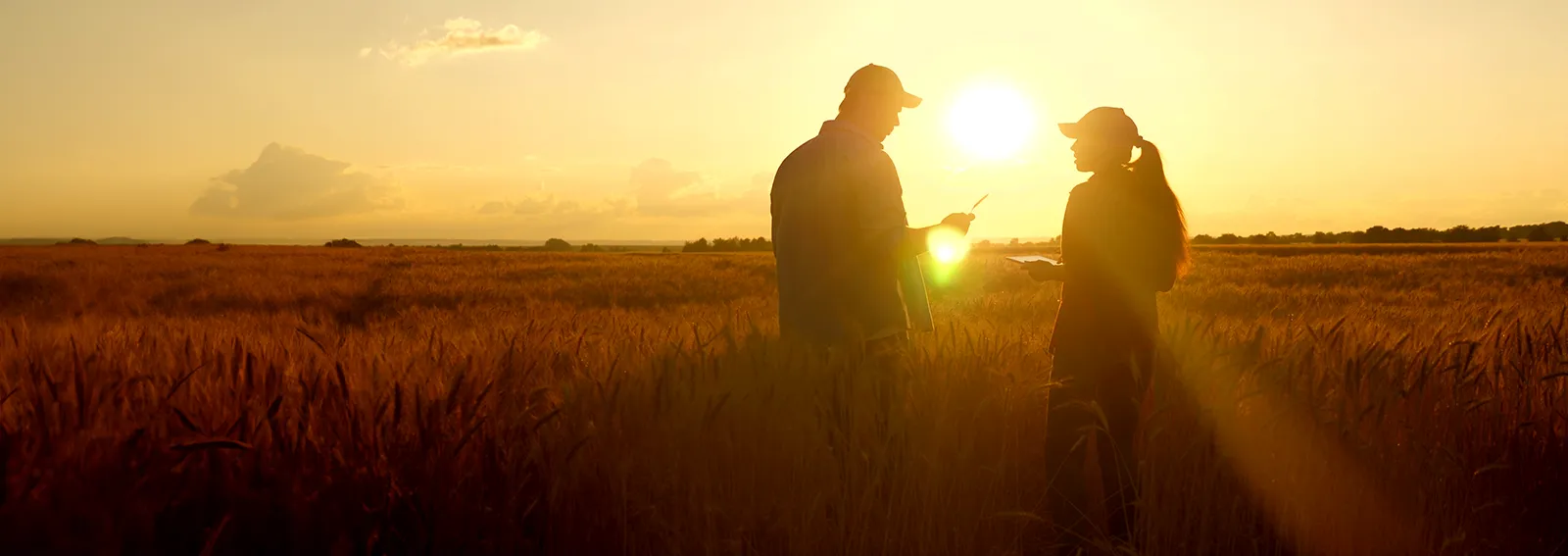 farmers in a field looking at bookkeeping on a tablet