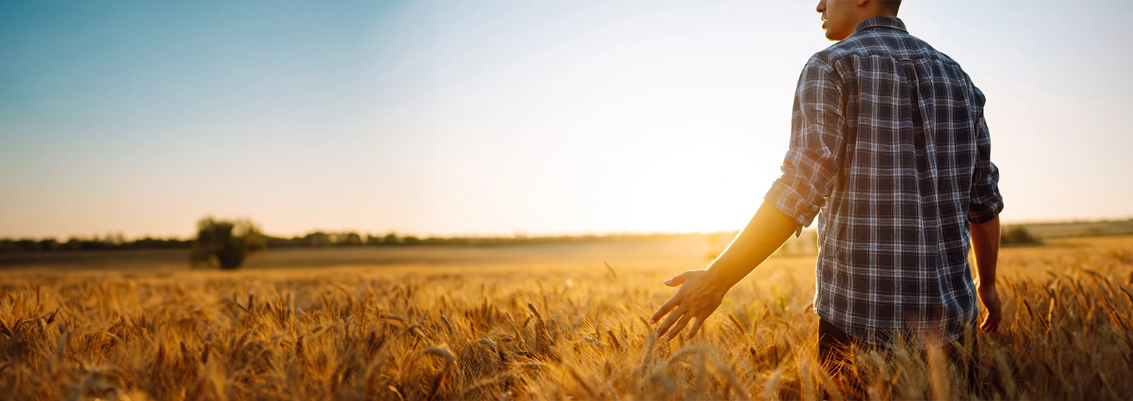 person standing in farm field with sun rays hitting their open arms