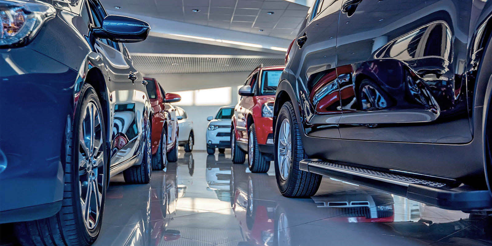 Ground view of cars in a dealership