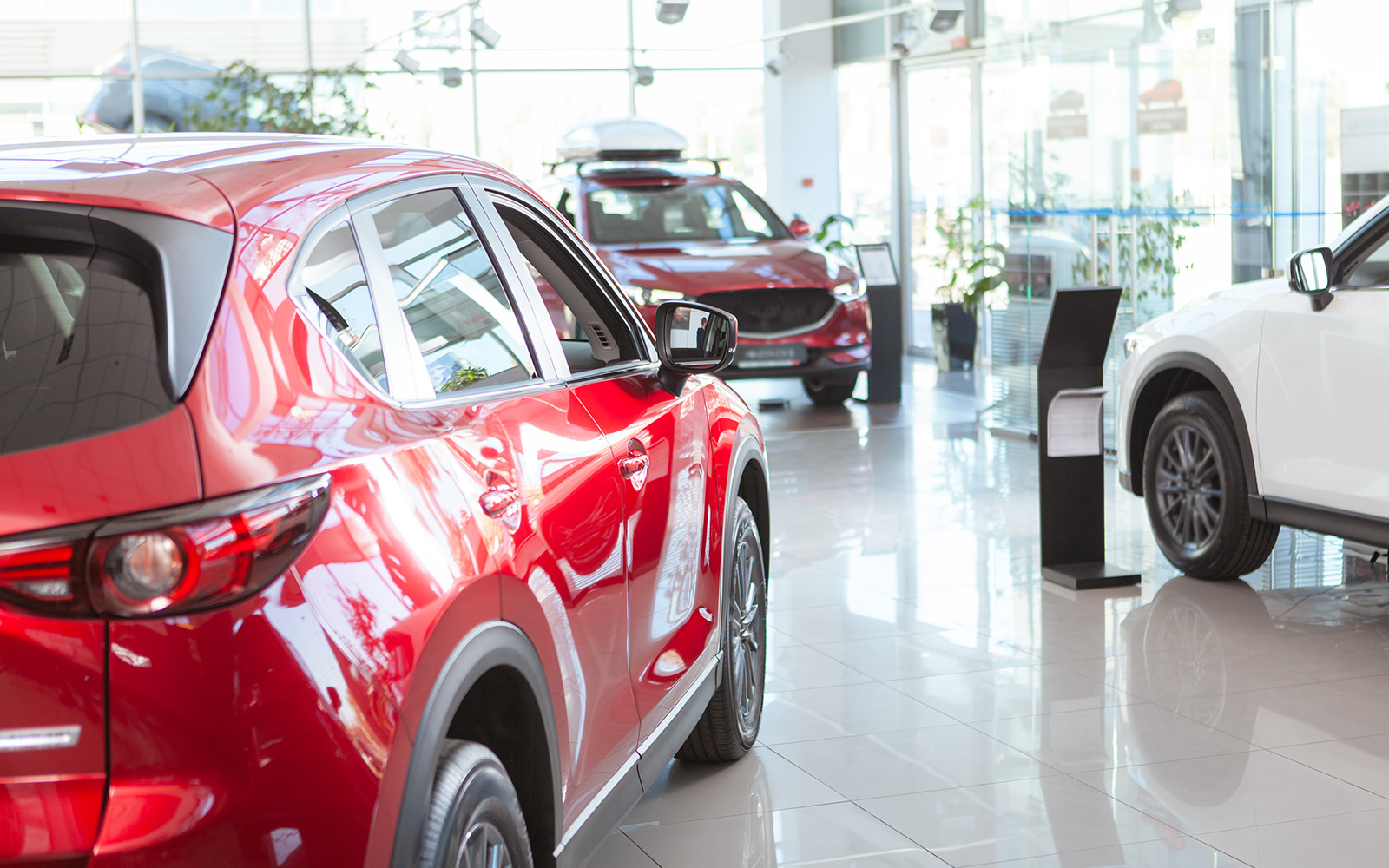 Photo recadrée d'une voiture SUV rouge brillante en vente chez un concessionnaire automobile