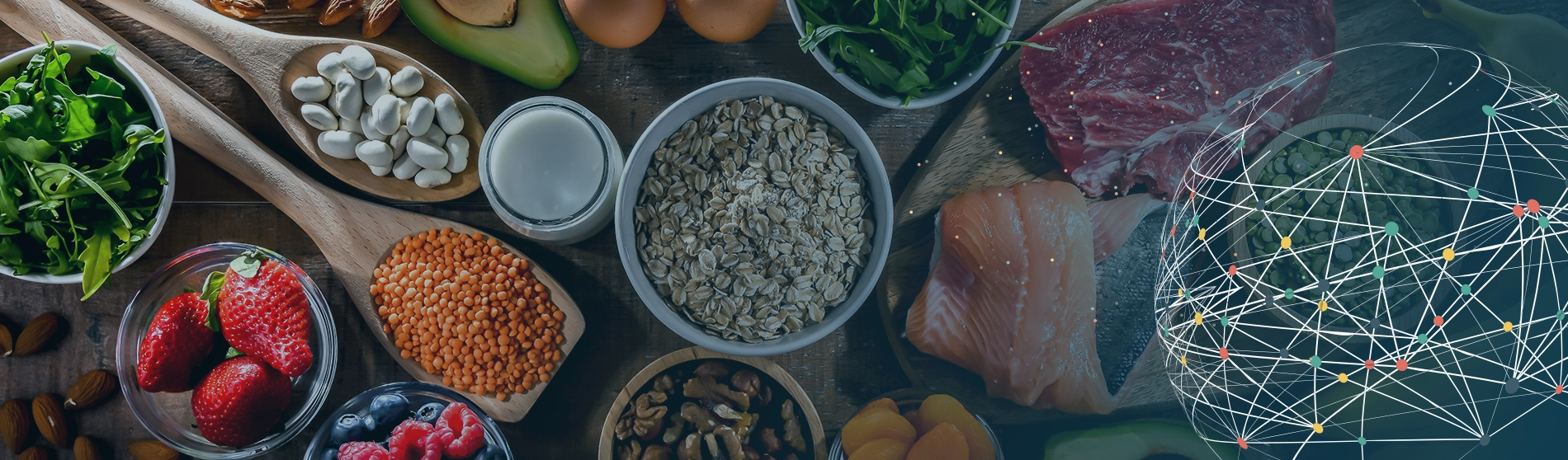 Mise à plat de différents types d'aliments organisés ensemble.