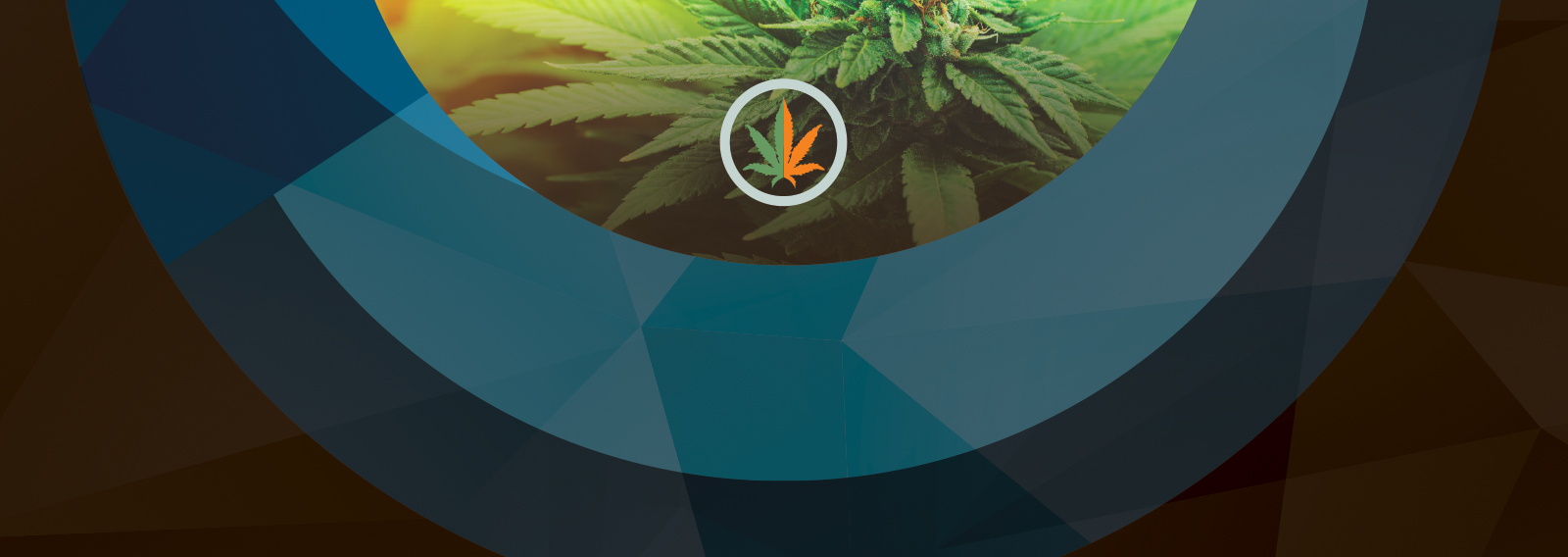 cannabis leaf inside a blue circle