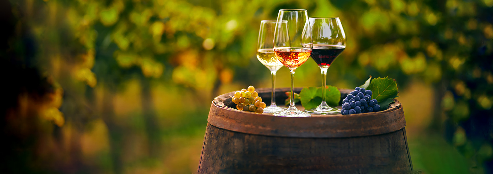 Three glasses of wine on top of a barrel with grapes around them