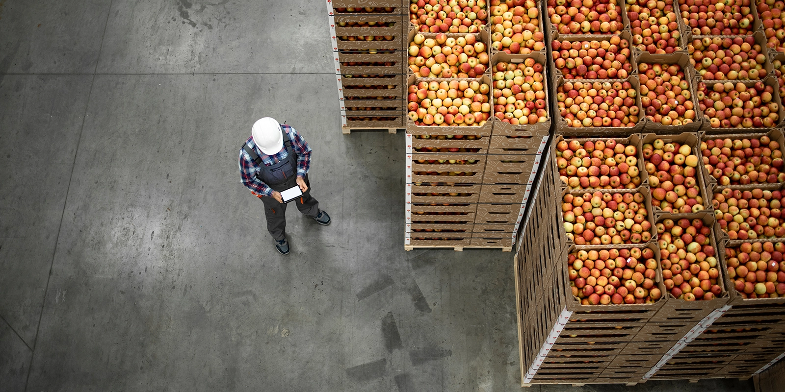 warehouse worker receiving apple shipment