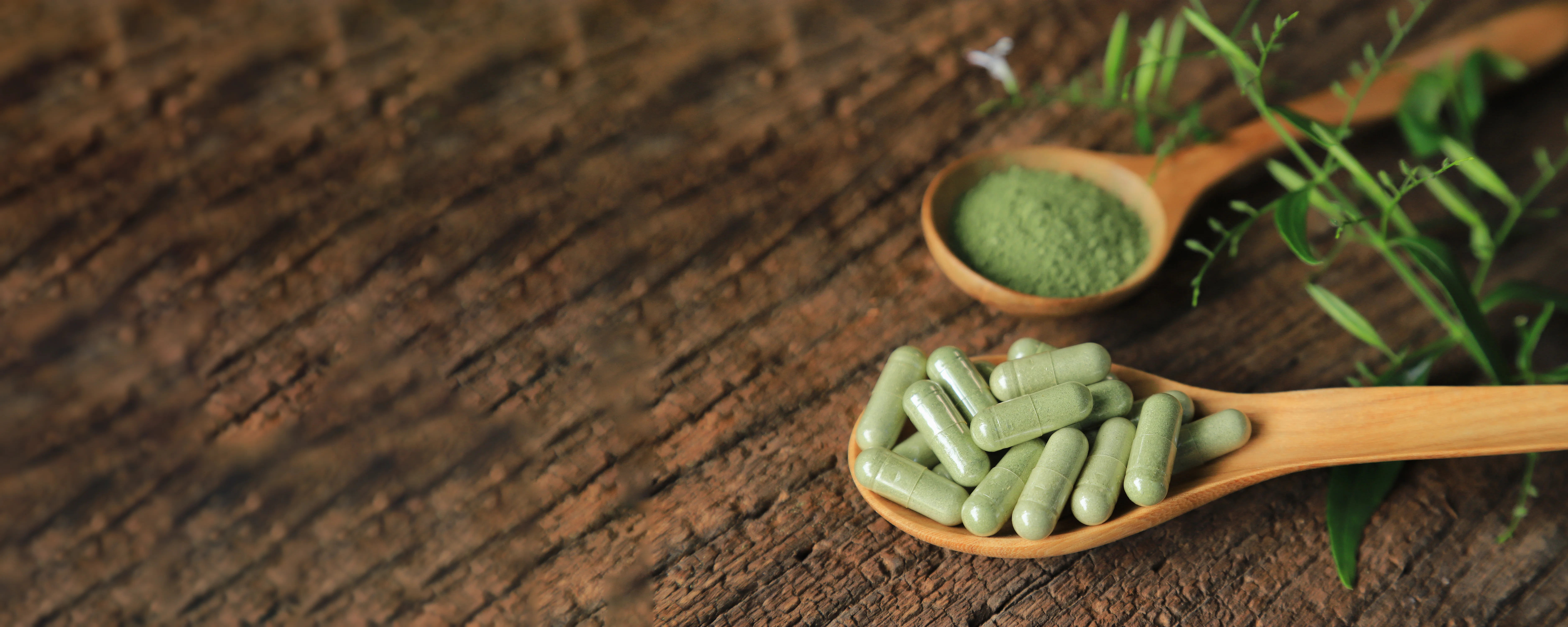 Top view of herbal powder capsules