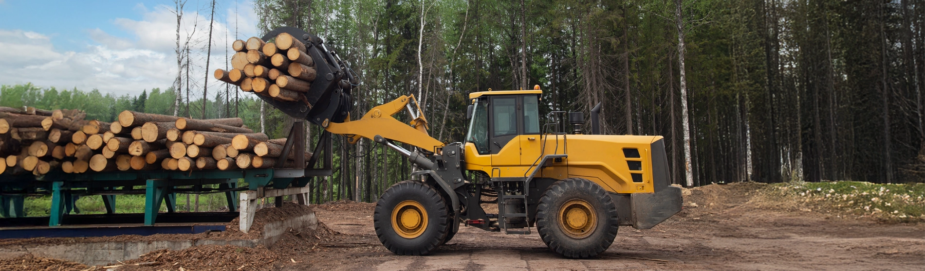 Loading logs using heavy machinery in British Columbia