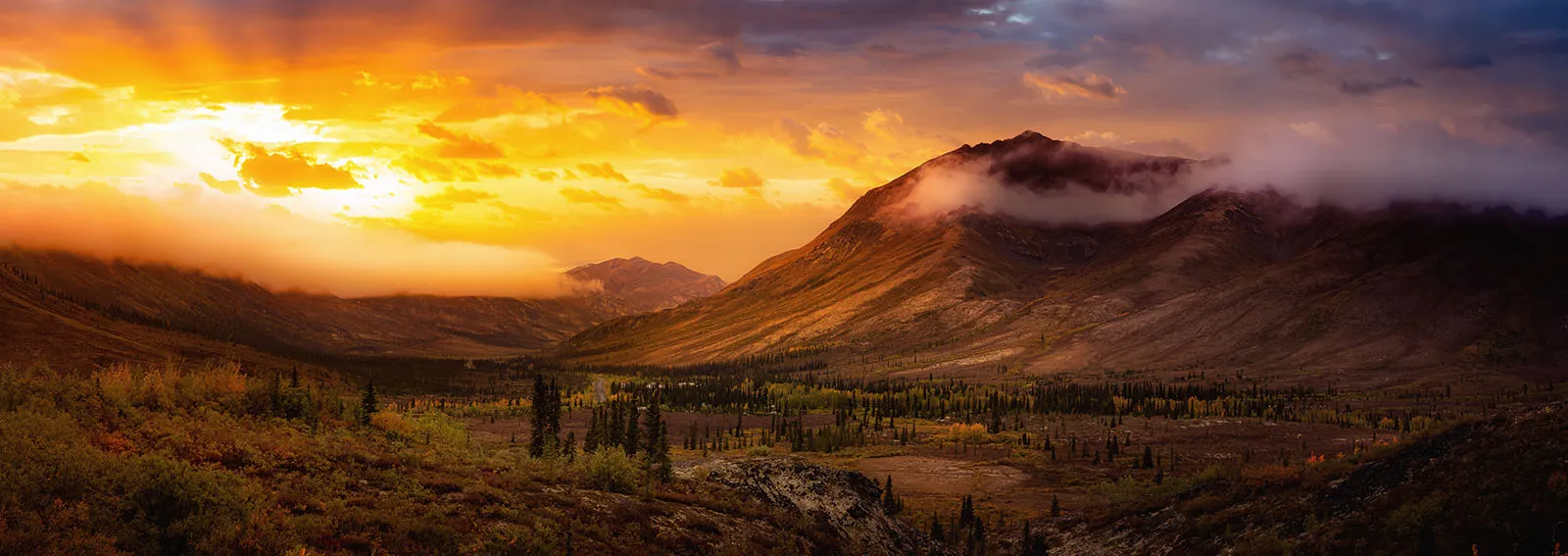 Panoramic view of a colourful forest and mountains