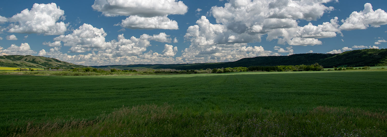 Pastures and blue cloudy sky