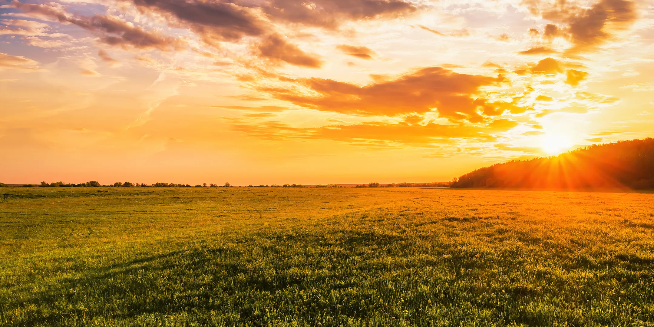 Sun setting over an open field