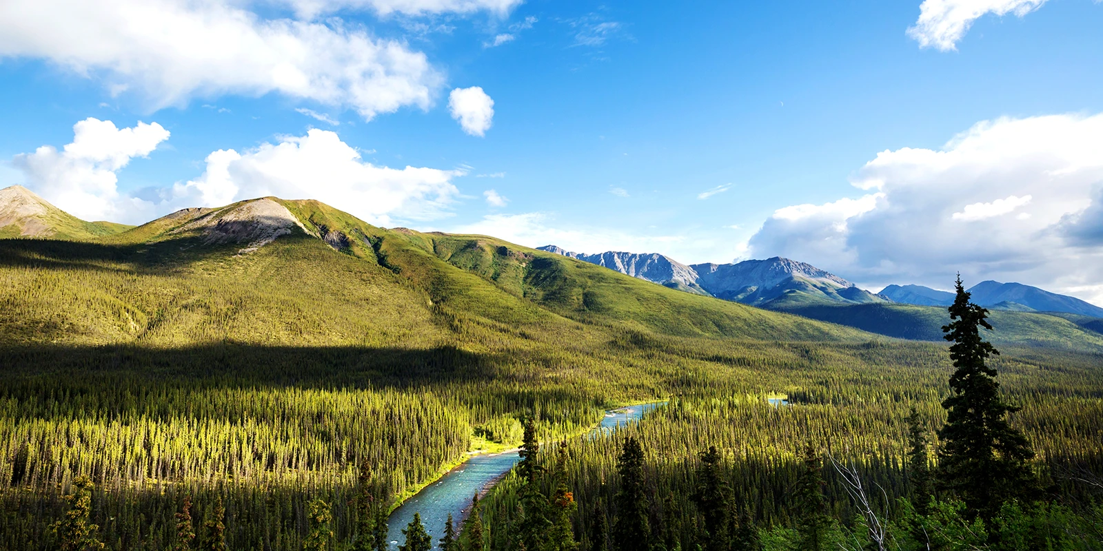BC Mountain range in the summer